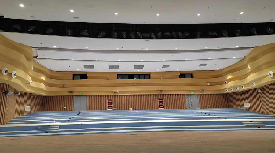 大型劇院GRG吊頂 大型劇院GRG吊頂