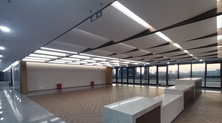 GRG異形吊頂 GRG異形吊頂